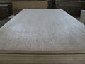 Commercial plywood