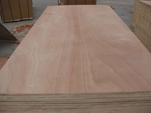 Commercial plywood 5