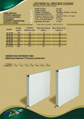 HISAR Model Aluminium Radiator