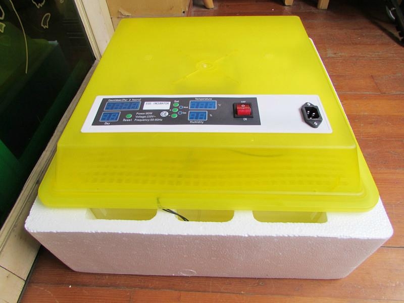 Best small incubator for chicken eggs orangekery