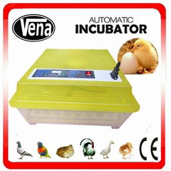 VA-48 Newest 48 Eggs Capacity Automatic Chicken Egg Incubator