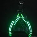 Double-line LED dog harness with round optical fiber colorful light 1