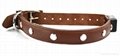 New Genuine Leather Jewel flashing LED dog collar  3