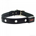 New Genuine Leather Jewel flashing LED dog collar  4