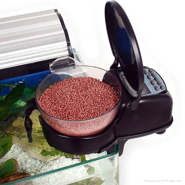 diy fish feeder diy fish feeder