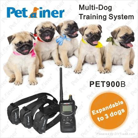 1000m remote Multi-Dog Training System 2