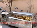 potato washing machine  2