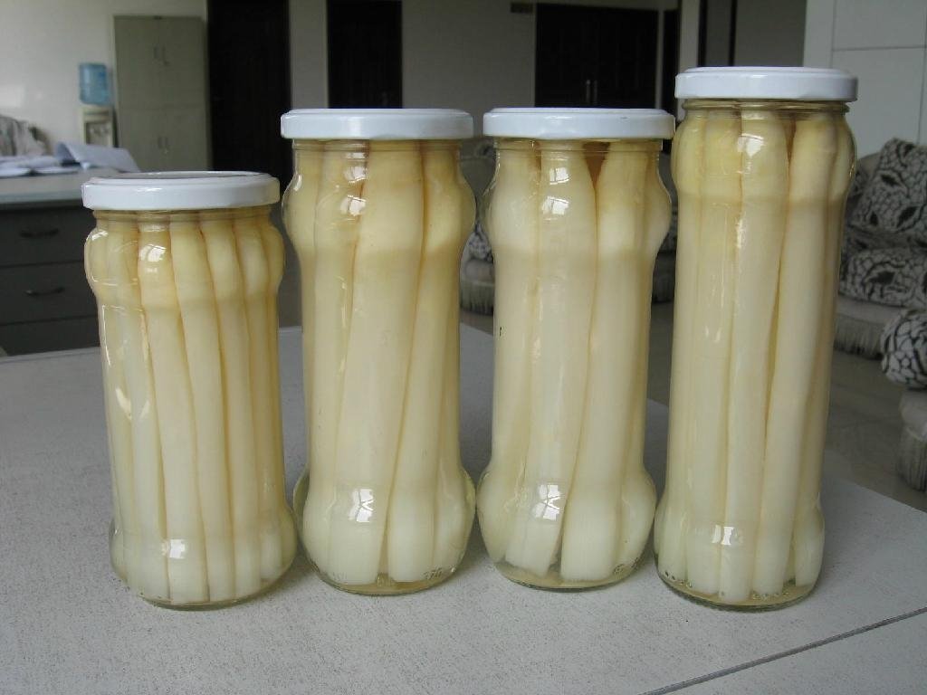 White Canned Asparagus Spear