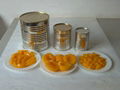 Canned Apricot 1