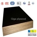 china giga construction material plywood