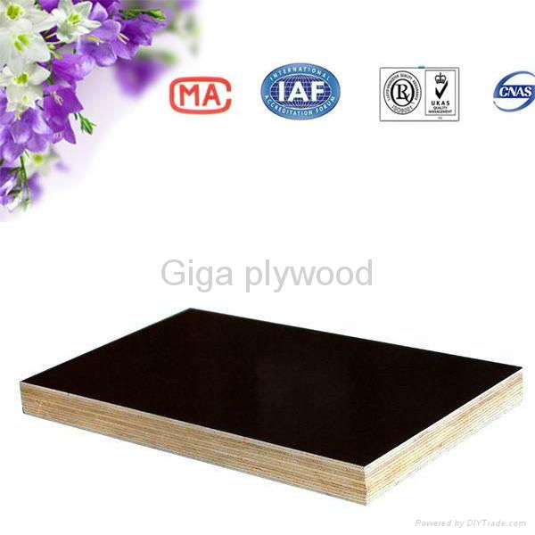 china giga construction material plywood 2