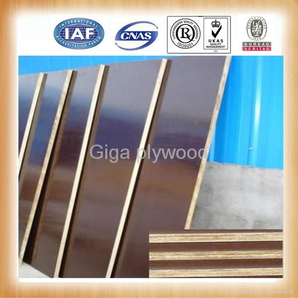 china giga construction material plywood 3