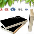 wbp plywood from china plywood factory