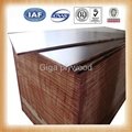 wbp plywood from china plywood factory 3