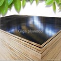 wbp plywood from china plywood factory 5