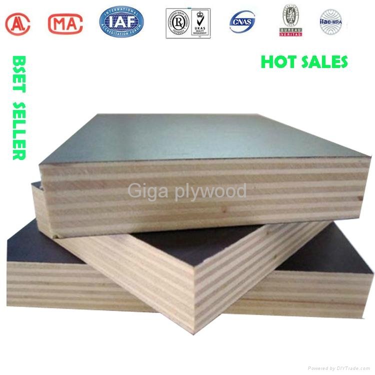 2014 waterproof phenolic whole poplar plywood 3
