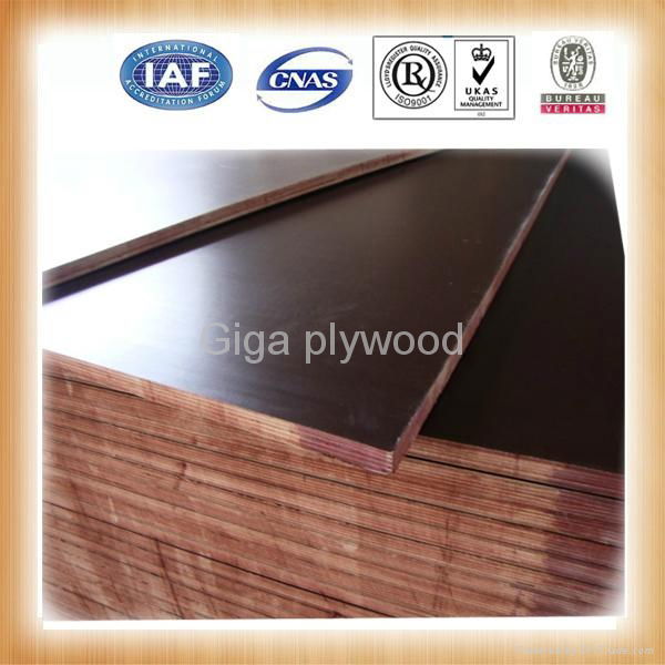 GIGA brown WBP film faced plywood 3