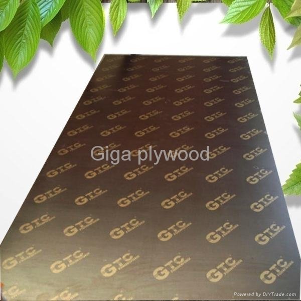 GIGA brown WBP film faced plywood 5
