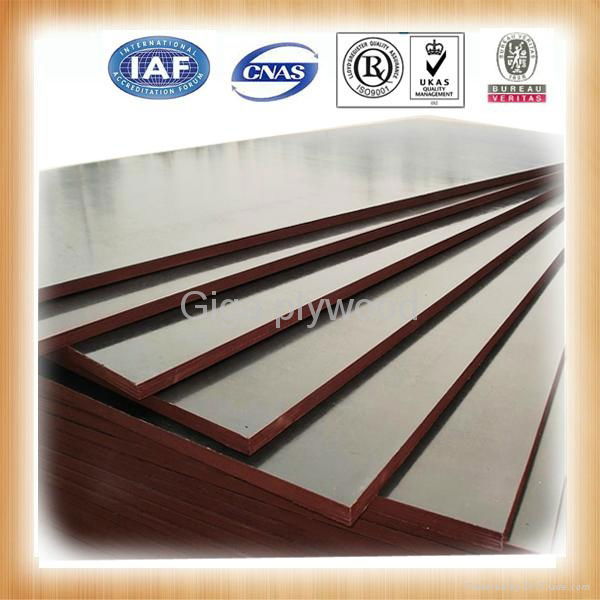 GIGA-high quality plywood from china supplies 2