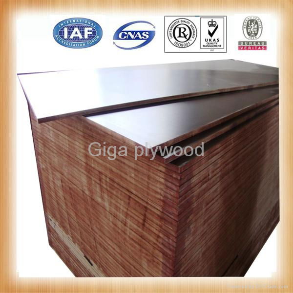 GIGA-high quality plywood from china supplies 3