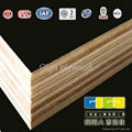  Two hot pressing high quality film faced plywood 1