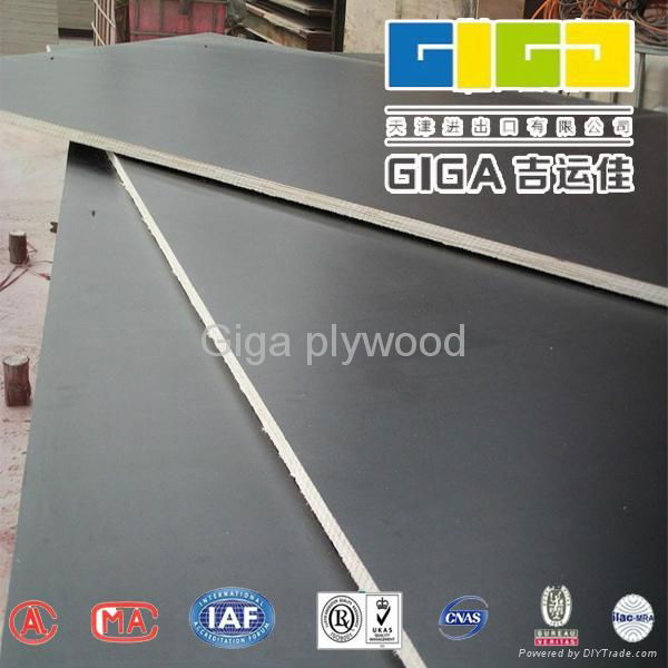  Two hot pressing high quality film faced plywood 2