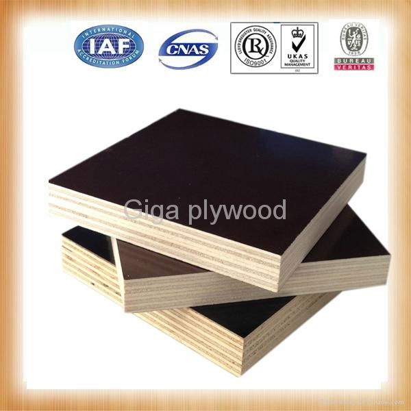 15mm thickness high quality film faced plywood 3