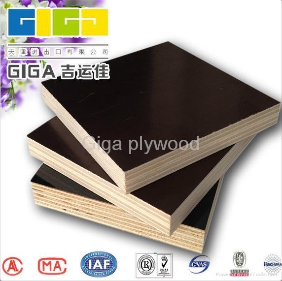  Two hot pressing high quality film faced plywood 5