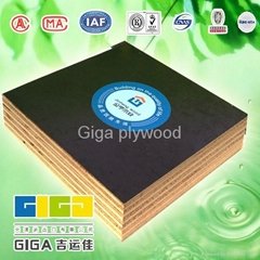 GIGA whole Poplar core melamine plywood