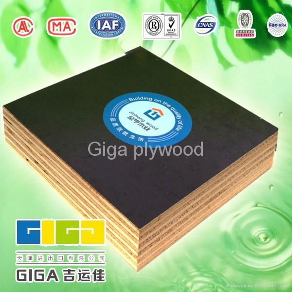 GIGA whole Poplar core melamine plywood