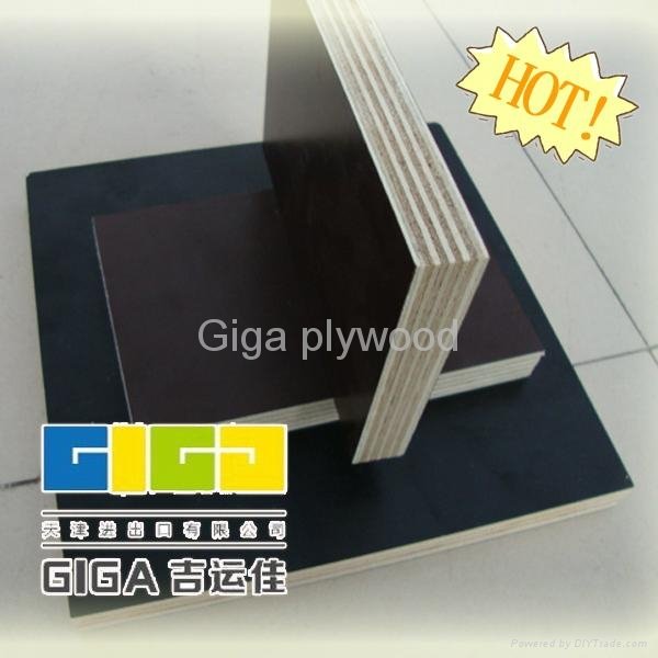GIGA whole Poplar core melamine plywood 2