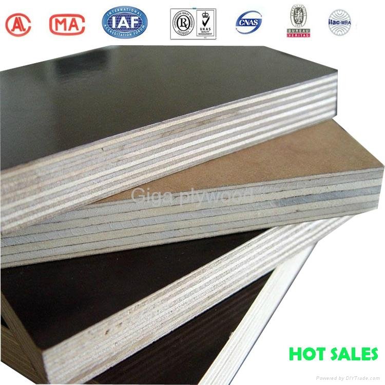 15mm thickness high quality film faced plywood