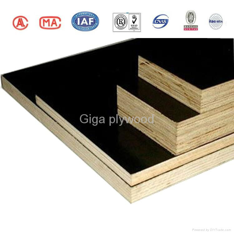  Two hot pressing WBP phenolic film faced plywood