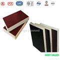  Two hot pressing WBP phenolic film faced plywood 2