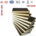  Two hot pressing WBP phenolic film faced plywood 3