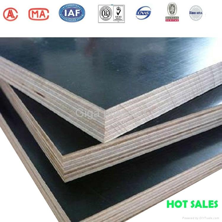  Two hot pressing WBP phenolic film faced plywood 4