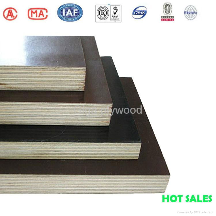 WBP phenolic china GIGA plywood 4