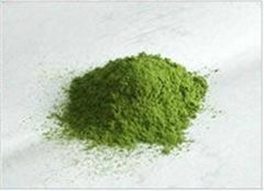 Fennel Powder