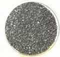 Coconut Shell Activated Carbon