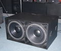 Dual 18 inch Woofer 2