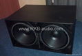 Dual 18 inch Woofer 3