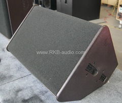 Monitor speakers PS15