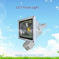 LED flood light-PIR 2