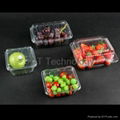 Plastic Food and Fruit container Mold 1