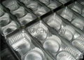 Plastic Food and Fruit container Mold 3