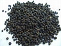 Quality Black Pepper