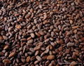 Quality Dried cocoa and coffee beans for sale 1