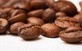 Quality Dried cocoa and coffee beans for sale 2