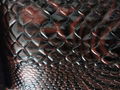 PVC  Synthetic leather