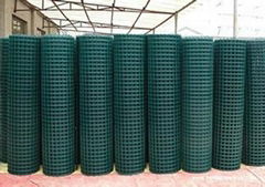 Welded Wire Mesh